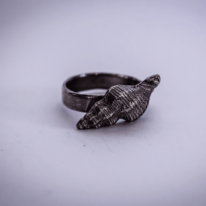 solid silver spiral shell ring