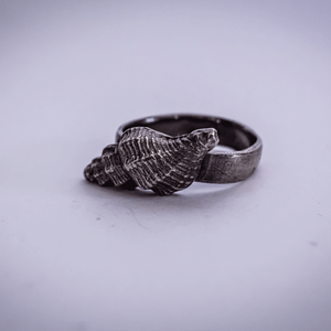 solid silver spiral shell ring